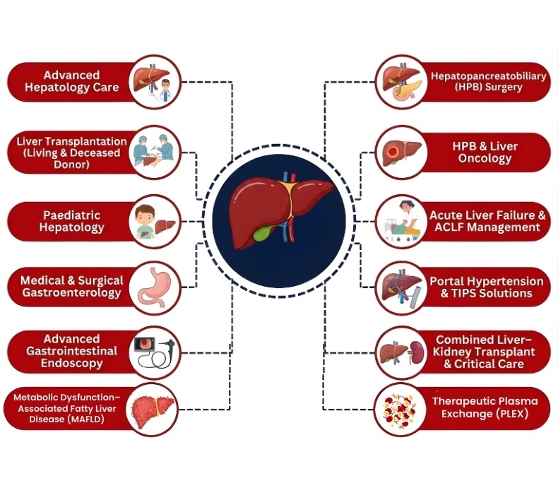Comprehensive Liver Care
